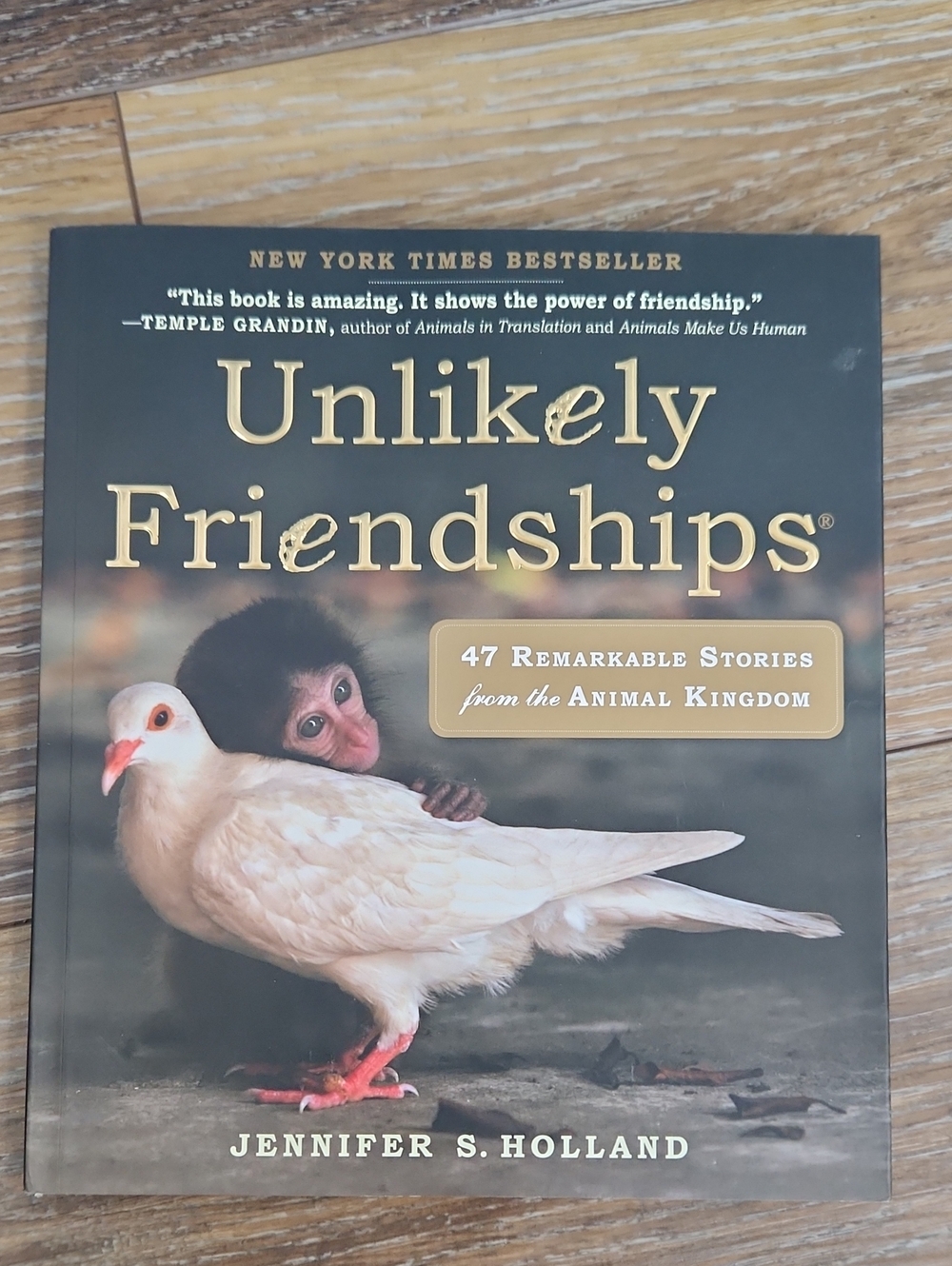 Unlikely Friendships Stories from the Animal Kingdom Book